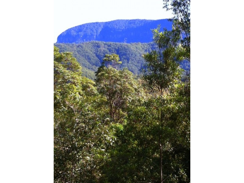 656 Upper Crystal Creek Rd, Upper Crystal Creek NSW 2484