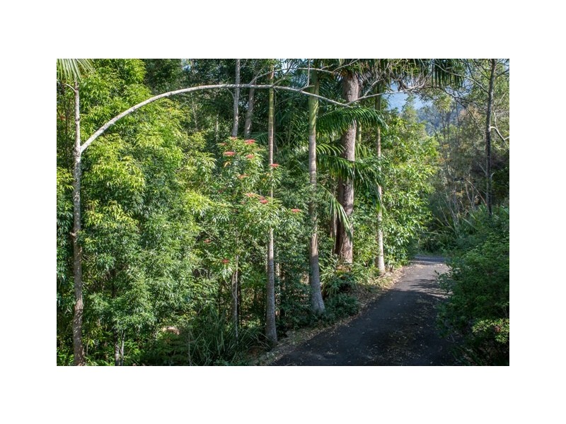 Chillingham NSW 2484