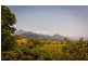 Murwillumbah NSW 2484