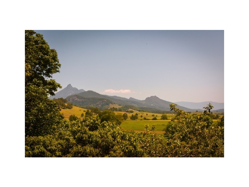 Murwillumbah NSW 2484