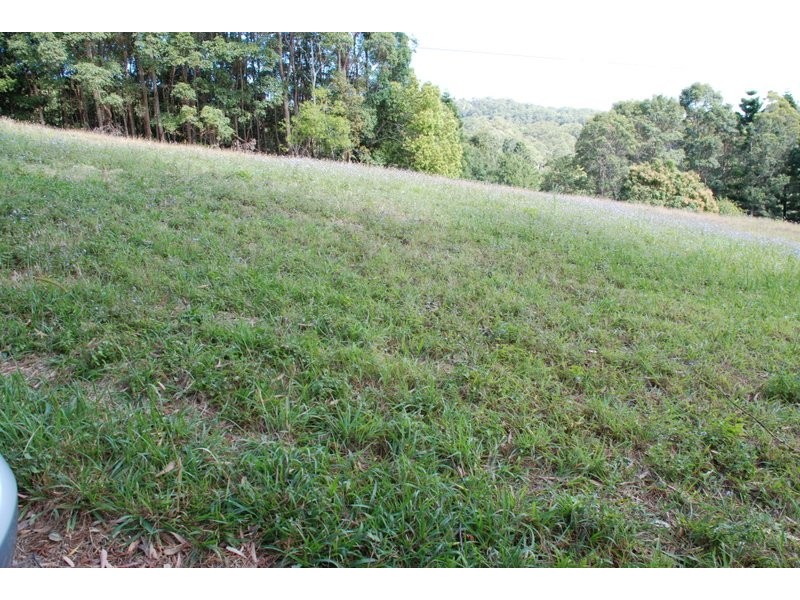 Nunderi NSW 2484