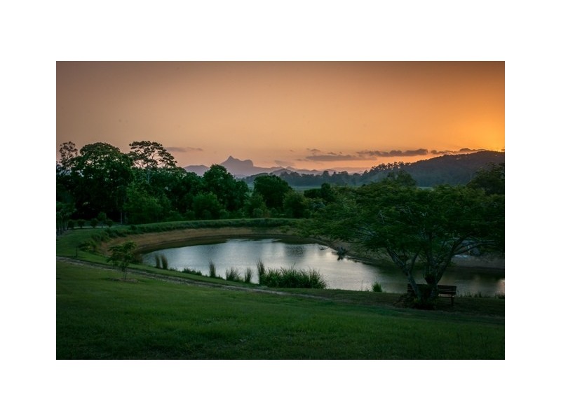 56 Hoop Pine Road, Dulguigan NSW 2484