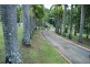 19 Dallis Court, Murwillumbah NSW 2484