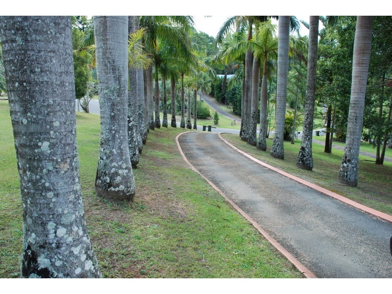19 Dallis Court, Murwillumbah NSW 2484