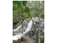 Urliup NSW 2484