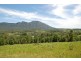 3222 (Lot 2) Kyogle Road,’Burrellea’, Mount Burrell NSW 2484