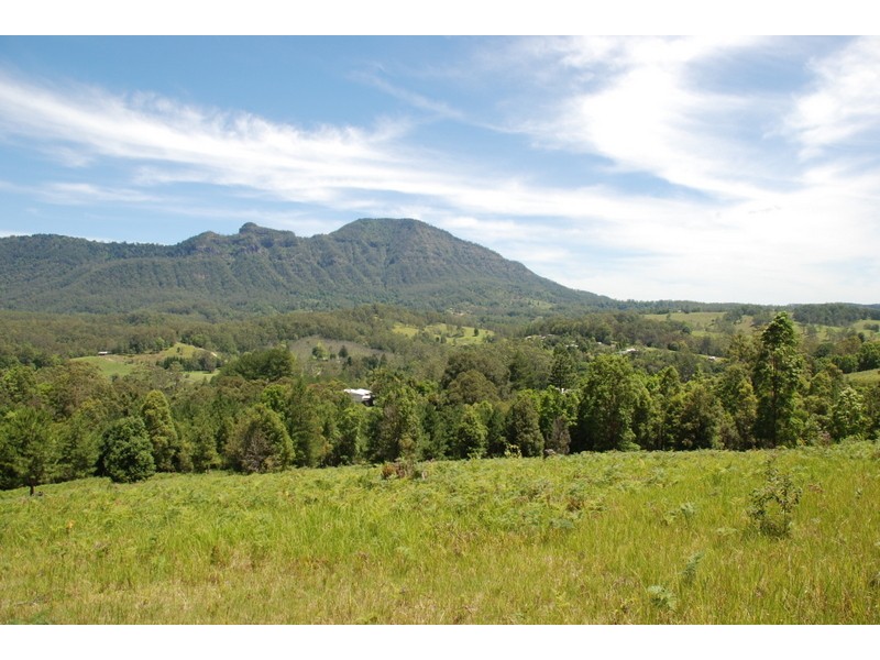 3222 (Lot 2) Kyogle Road,’Burrellea’, Mount Burrell NSW 2484 Elders Real Estate Murwillumbah