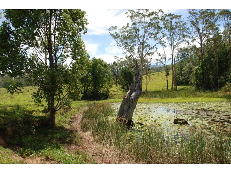 3222 (Lot 2) Kyogle Road,’Burrellea’, Mount Burrell NSW 2484 Elders Real Estate Murwillumbah