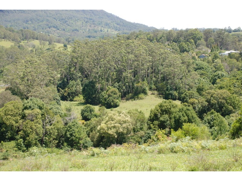 3222 (Lot 2) Kyogle Road,’Burrellea’, Mount Burrell NSW 2484 Elders Real Estate Murwillumbah