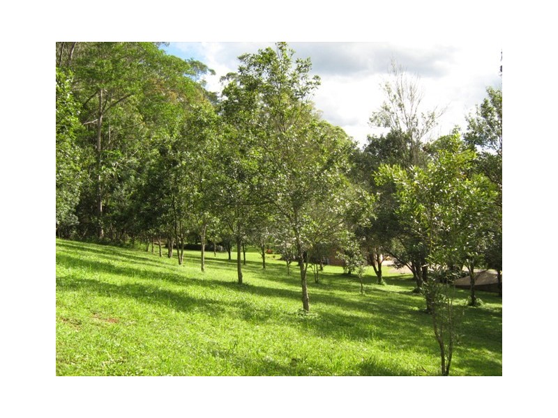 Crystal Creek NSW 2484