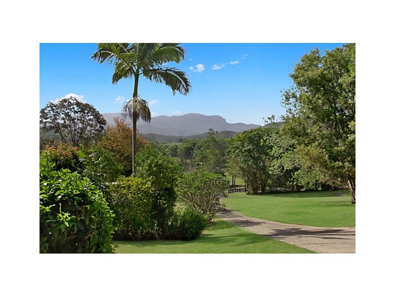 Crystal Creek NSW 2484