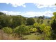 Murwillumbah NSW 2484