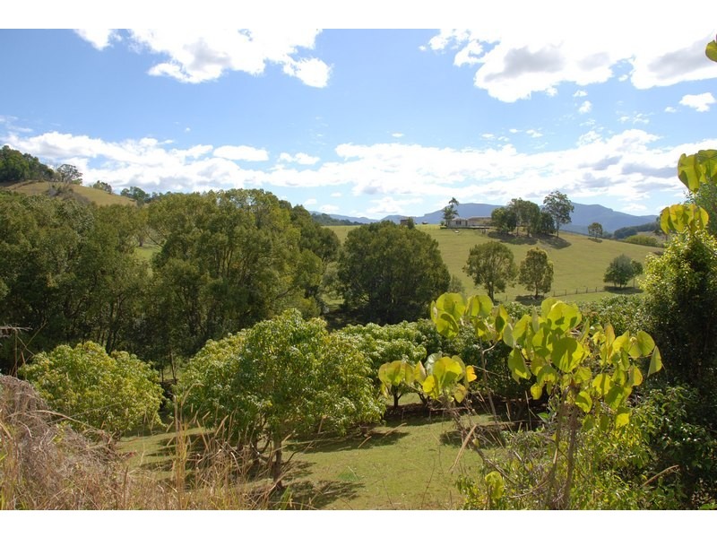 Murwillumbah NSW 2484