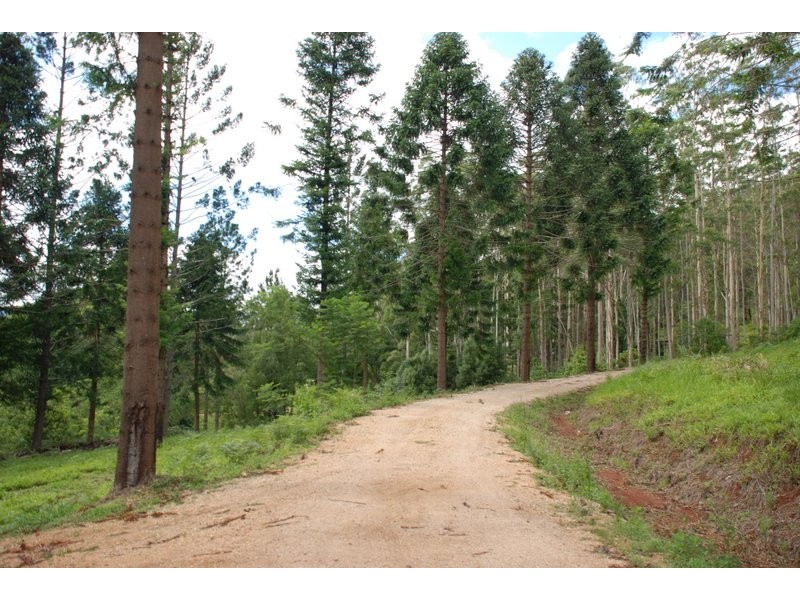 291 Byrrill Creek Road (The Hamlet), Byrrill Creek NSW 2484