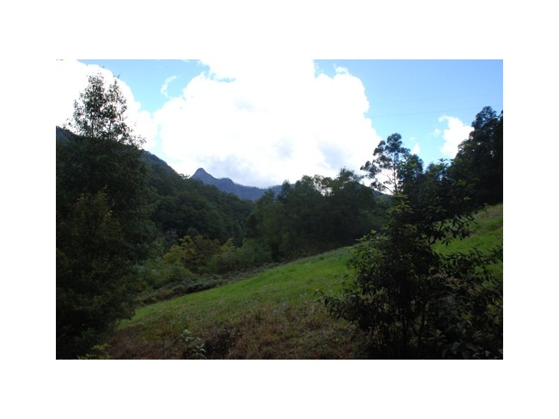 1185 Tyalgum Road, Tyalgum NSW 2484