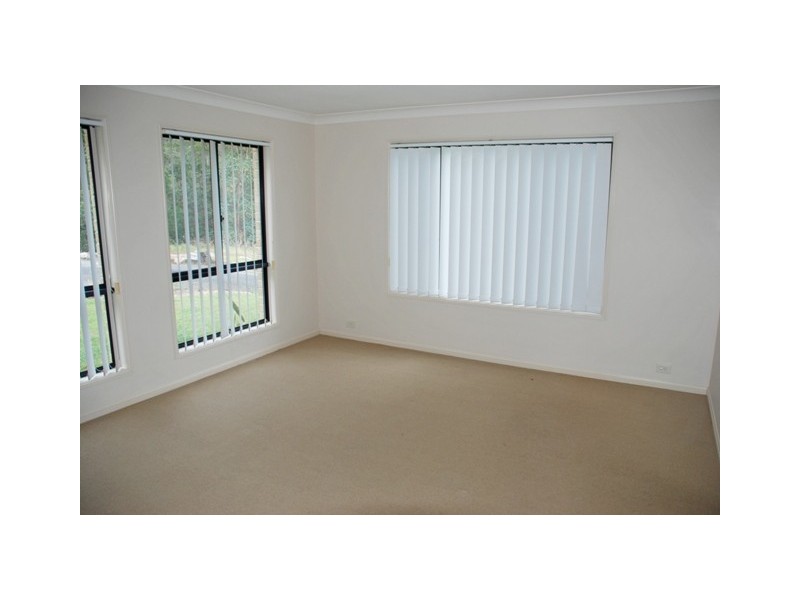 1185 Tyalgum Road, Tyalgum NSW 2484