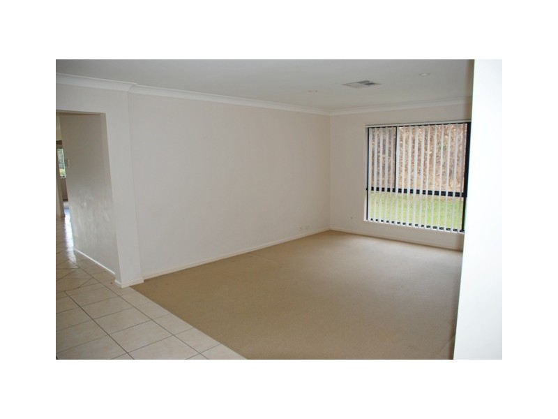 1185 Tyalgum Road, Tyalgum NSW 2484