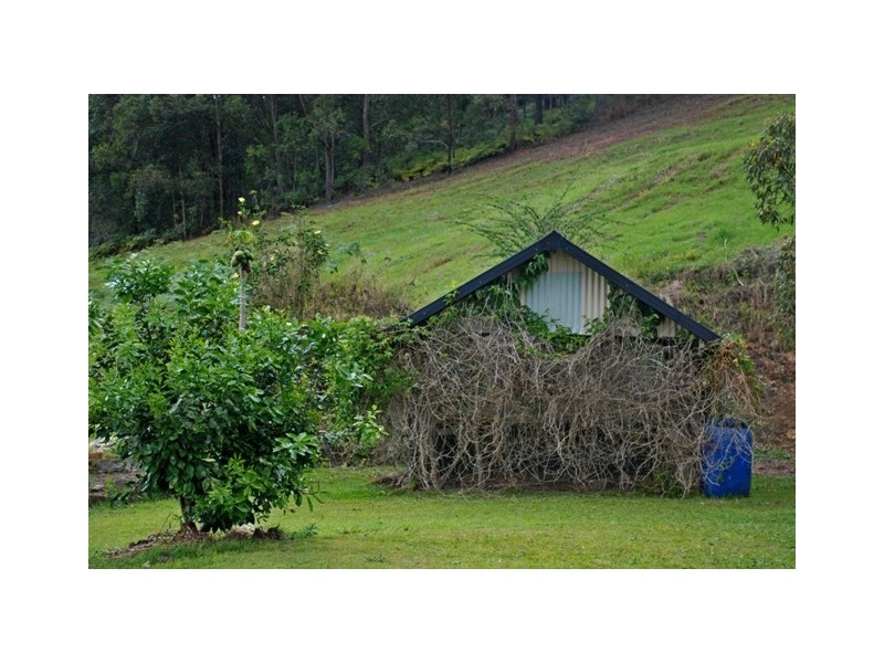 1185 Tyalgum Road, Tyalgum NSW 2484