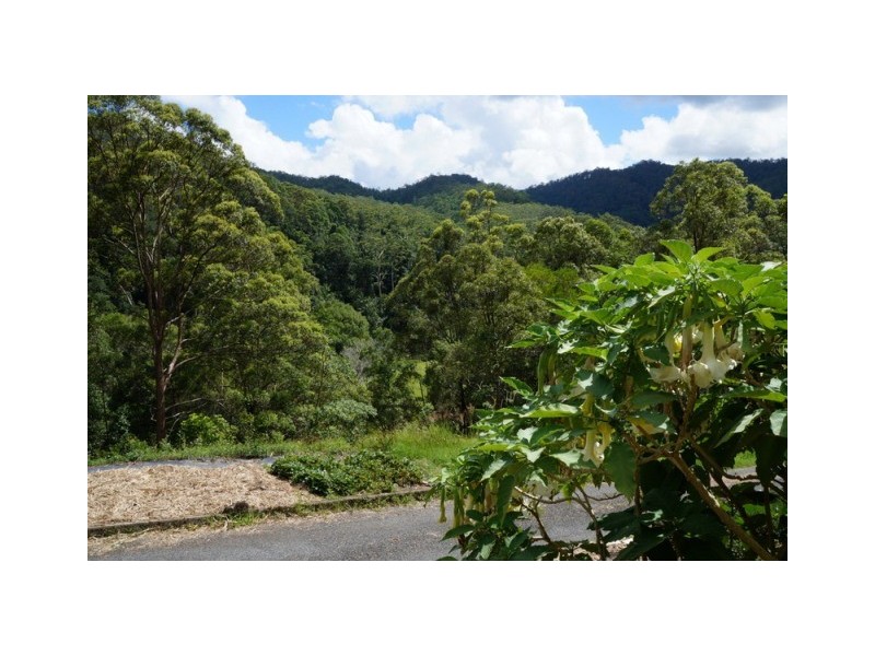 1185 Tyalgum Road, Tyalgum NSW 2484