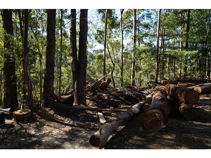 Wardrop Valley NSW 2484