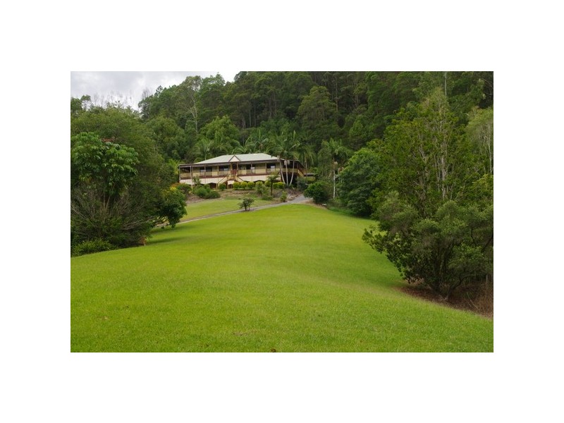 Murwillumbah NSW 2484