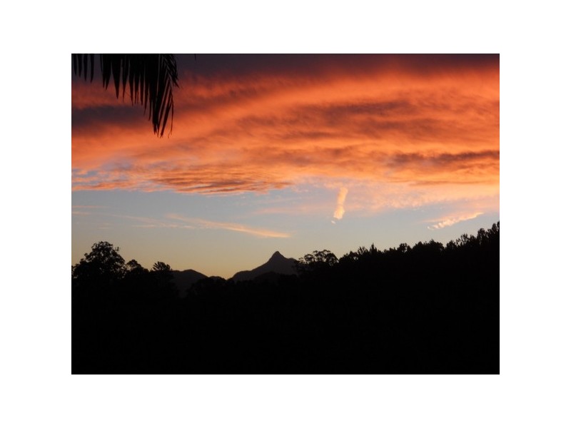 Murwillumbah NSW 2484