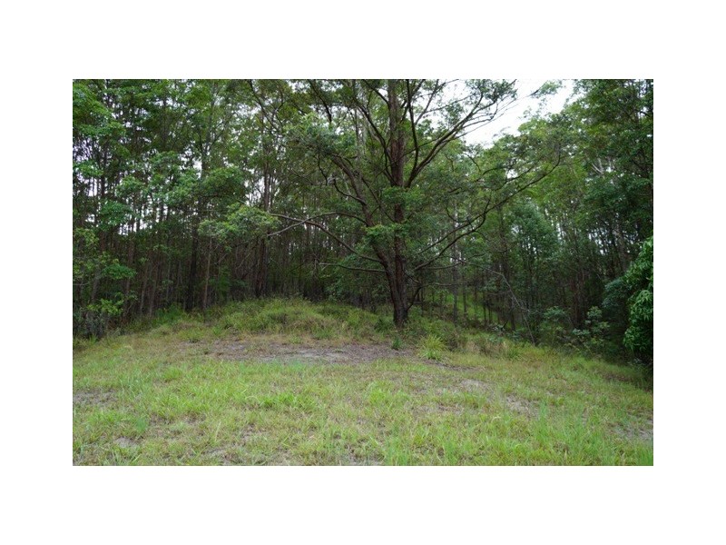 Nunderi NSW 2484