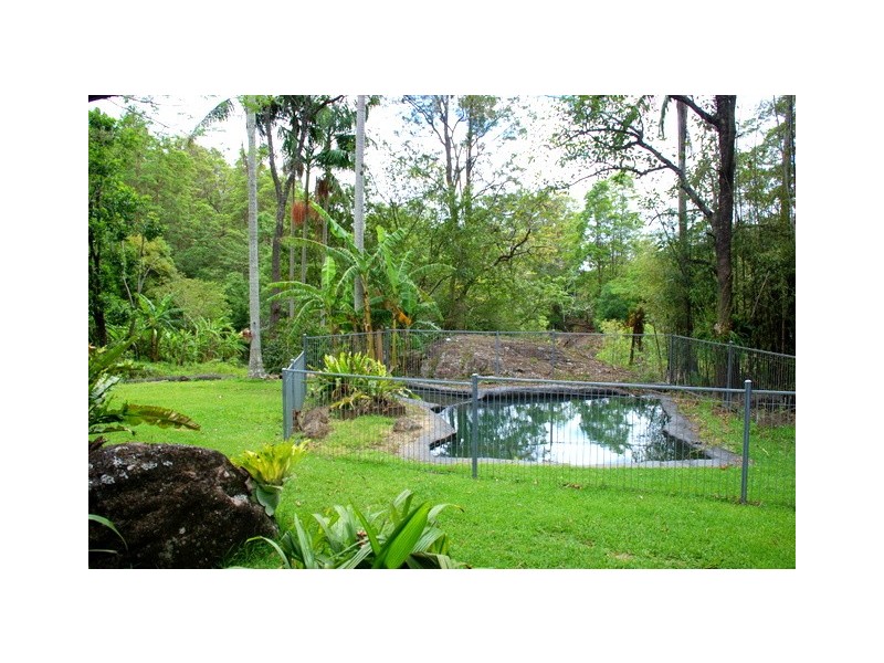 790 Hopkins Creek Road, Hopkins Creek NSW 2484