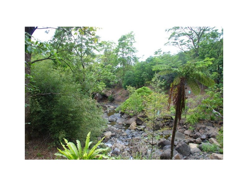 790 Hopkins Creek Road, Hopkins Creek NSW 2484