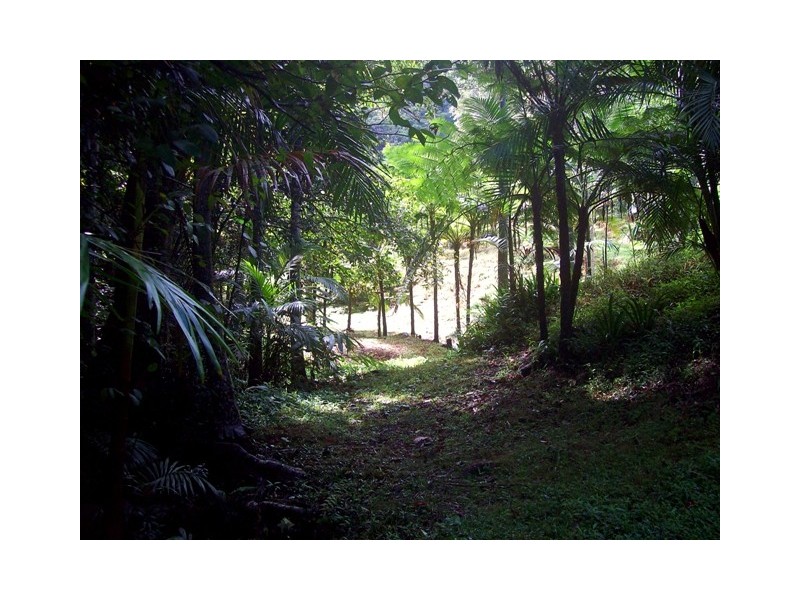 Dulguigan NSW 2484