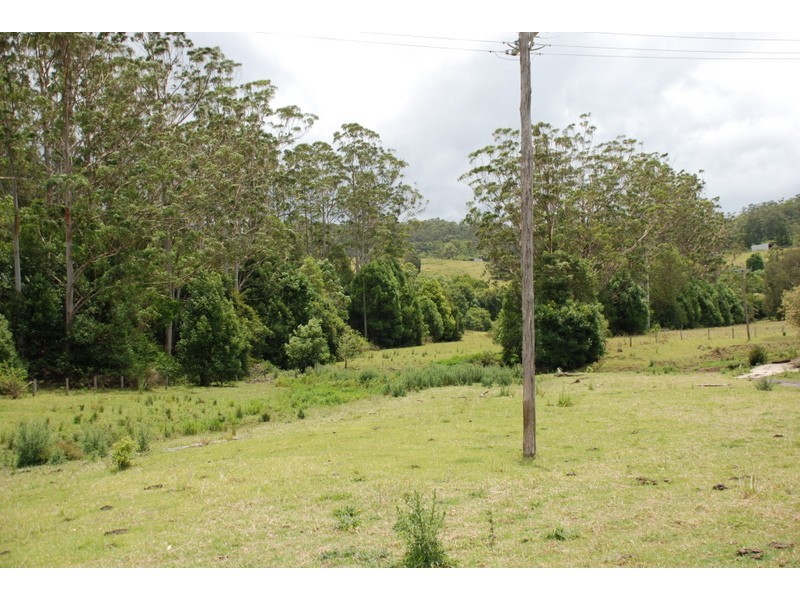 Mount Burrell NSW 2484