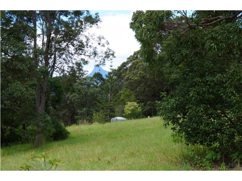 Tyalgum NSW 2484