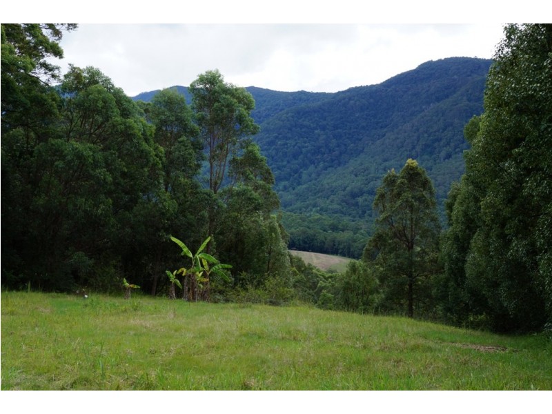 Tyalgum NSW 2484