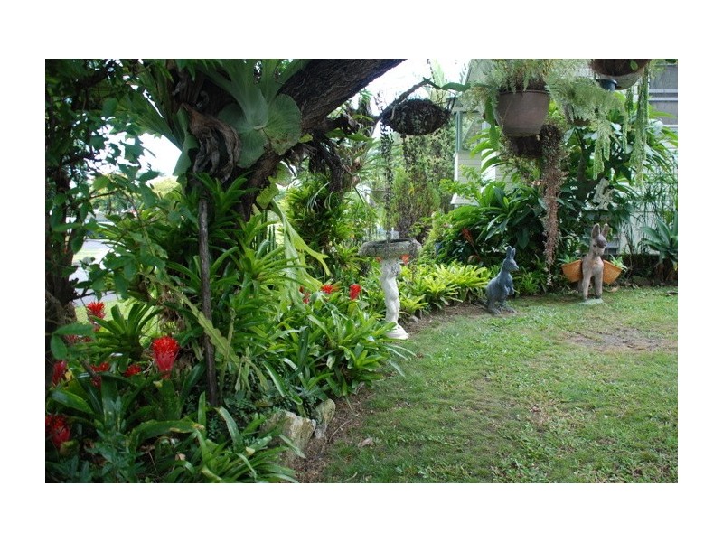 Murwillumbah South NSW 2484