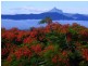 Kielvale NSW 2484