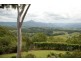 Kielvale NSW 2484