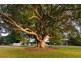 Dungay NSW 2484