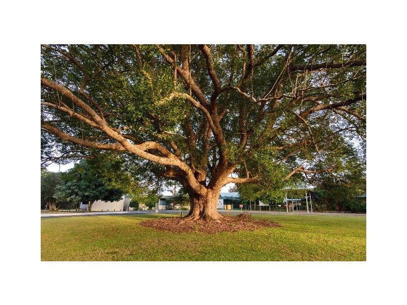 Dungay NSW 2484