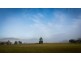 Dungay NSW 2484