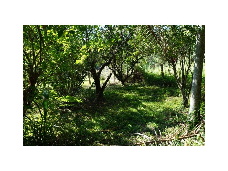 Chillingham NSW 2484