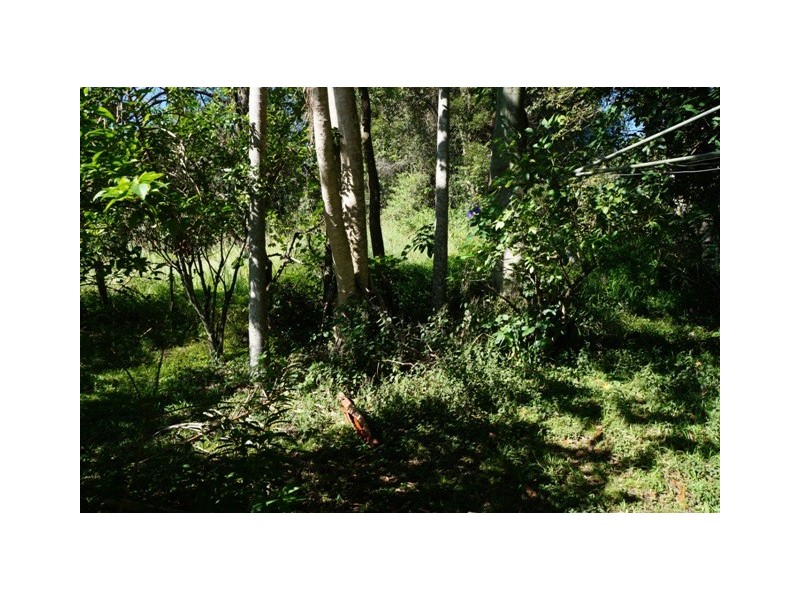 Chillingham NSW 2484