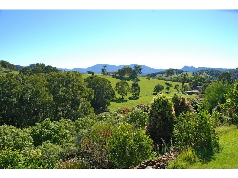 Murwillumbah NSW 2484