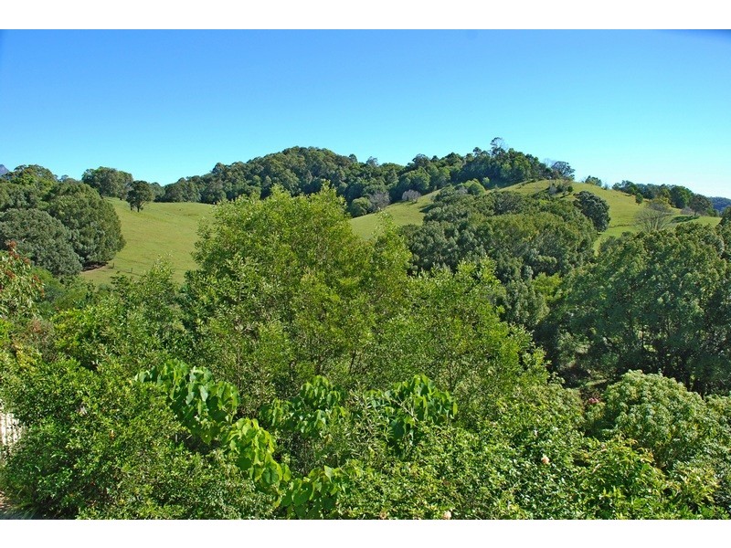 Murwillumbah NSW 2484