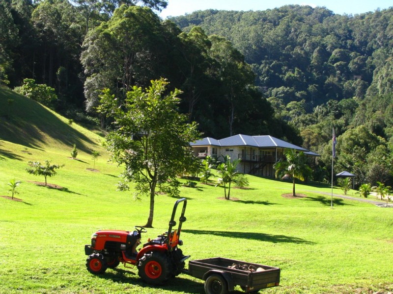 Nobbys Creek NSW 2484