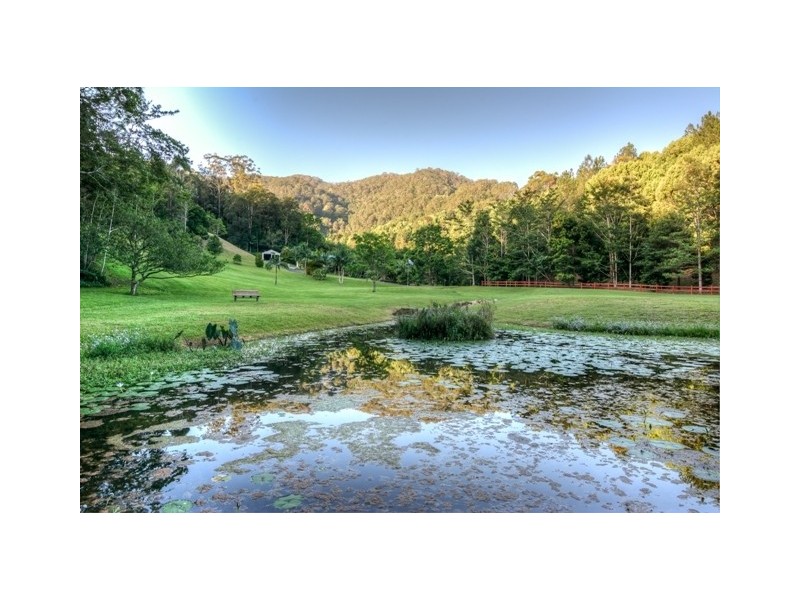 Nobbys Creek NSW 2484