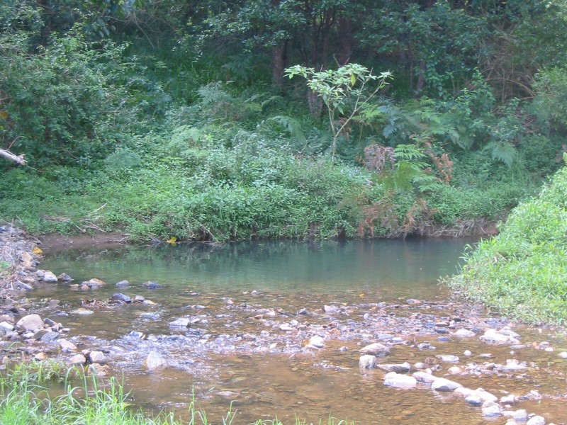 Nobbys Creek NSW 2484