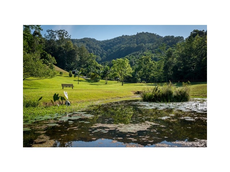 Nobbys Creek NSW 2484