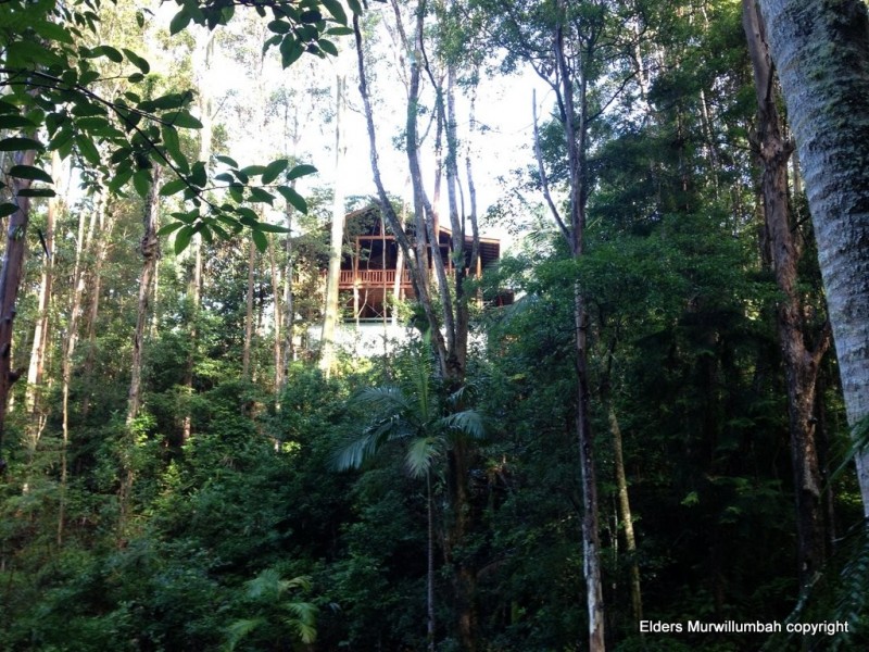 52 Wallaby Court, Stokers Siding NSW 2484