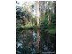 52 Wallaby Court, Stokers Siding NSW 2484