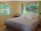 Murwillumbah NSW 2484